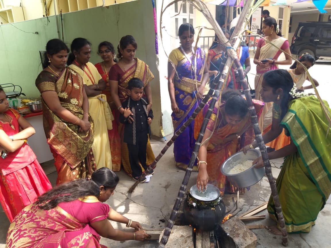 Pongal Celebration at KALVI Jan 14 2019